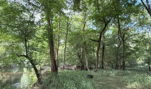 Photo #50 of Off of Lewis Coombs Ln, Trenton, NC 26.8 acres