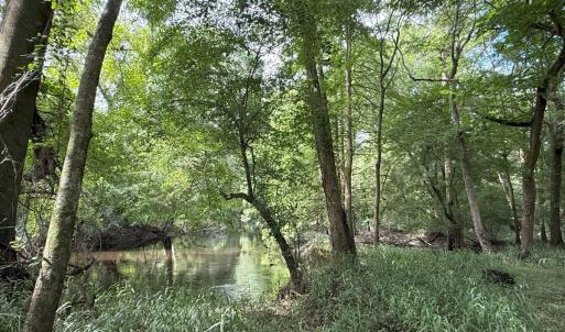 Photo #51 of Off of Lewis Coombs Ln, Trenton, NC 26.8 acres