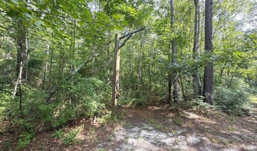 Photo #56 of Off of Lewis Coombs Ln, Trenton, NC 26.8 acres