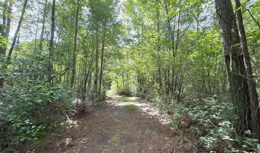 Photo #58 of Off of Lewis Coombs Ln, Trenton, NC 26.8 acres