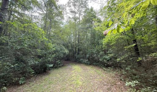 Photo #59 of Off of Lewis Coombs Ln, Trenton, NC 26.8 acres