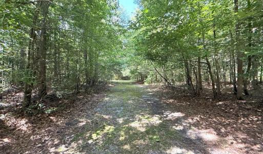 Photo #62 of Off of Lewis Coombs Ln, Trenton, NC 26.8 acres