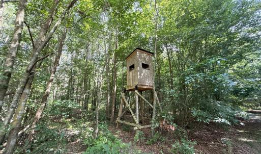 Photo #63 of Off of Lewis Coombs Ln, Trenton, NC 26.8 acres