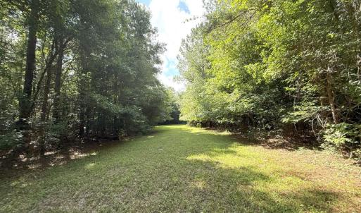 Photo #64 of Off of Lewis Coombs Ln, Trenton, NC 26.8 acres