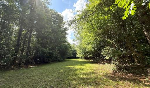 Photo #65 of Off of Lewis Coombs Ln, Trenton, NC 26.8 acres