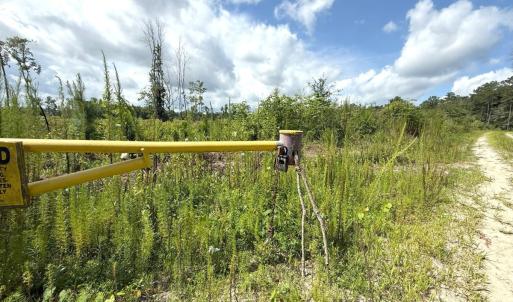 Photo #66 of Off of Lewis Coombs Ln, Trenton, NC 26.8 acres