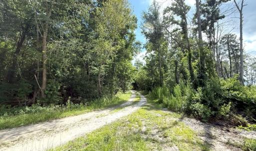 Photo #67 of Off of Lewis Coombs Ln, Trenton, NC 26.8 acres