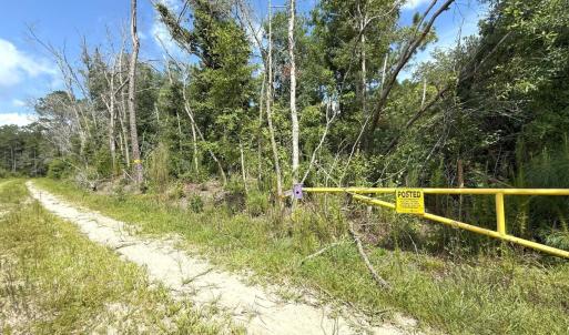Photo #68 of Off of Lewis Coombs Ln, Trenton, NC 26.8 acres