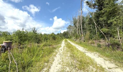 Photo #69 of Off of Lewis Coombs Ln, Trenton, NC 26.8 acres