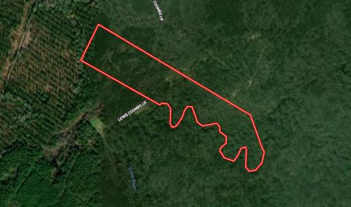 Photo #70 of Off of Lewis Coombs Ln, Trenton, NC 26.8 acres