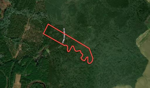 Photo #71 of Off of Lewis Coombs Ln, Trenton, NC 26.8 acres