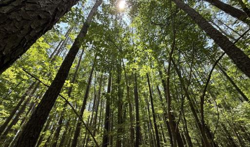 Photo #28 of Off Carolina Shores , Bath, NC 5.9 acres