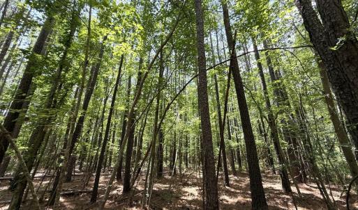 Photo #29 of Off Carolina Shores , Bath, NC 5.9 acres