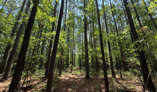 Photo #30 of Off Carolina Shores , Bath, NC 5.9 acres
