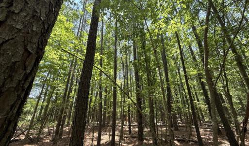 Photo #31 of Off Carolina Shores , Bath, NC 5.9 acres