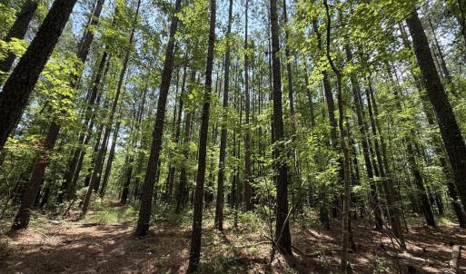 Photo #32 of Off Carolina Shores , Bath, NC 5.9 acres