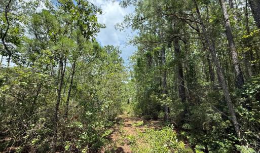 Photo #33 of Off Carolina Shores , Bath, NC 5.9 acres