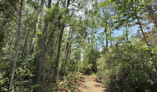 Photo #34 of Off Carolina Shores , Bath, NC 5.9 acres