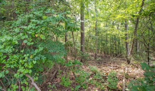 Photo #24 of Off Stone Drive, Roxboro, NC 40.8 acres