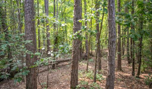 Photo #26 of Off Stone Drive, Roxboro, NC 40.8 acres