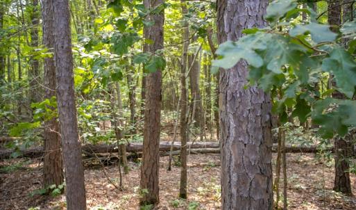 Photo #28 of Off Stone Drive, Roxboro, NC 40.8 acres