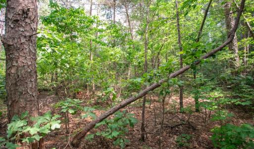 Photo #30 of Off Stone Drive, Roxboro, NC 40.8 acres