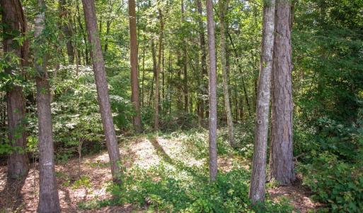 Photo #31 of Off Stone Drive, Roxboro, NC 40.8 acres