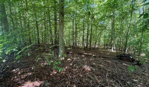 Photo #34 of Off Stone Drive, Roxboro, NC 40.8 acres
