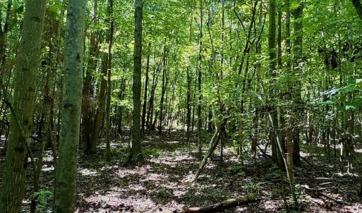 Photo #36 of Off Stone Drive, Roxboro, NC 40.8 acres