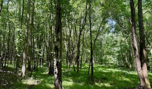 Photo #44 of Off Stone Drive, Roxboro, NC 40.8 acres