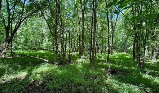 Photo #45 of Off Stone Drive, Roxboro, NC 40.8 acres