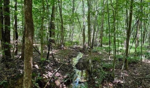 Photo #47 of Off Stone Drive, Roxboro, NC 40.8 acres