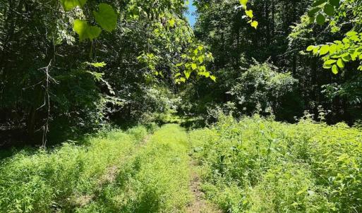 Photo #48 of Off Stone Drive, Roxboro, NC 40.8 acres