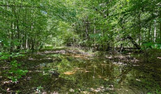 Photo #51 of Off Stone Drive, Roxboro, NC 40.8 acres