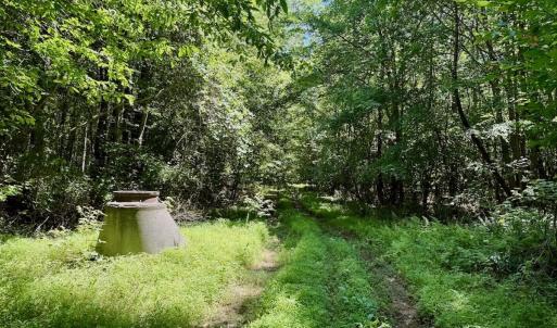 Photo #53 of Off Stone Drive, Roxboro, NC 40.8 acres