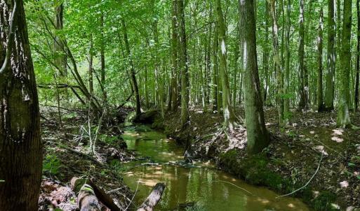 Photo #54 of Off Stone Drive, Roxboro, NC 40.8 acres