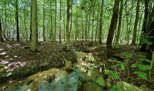 Photo #55 of Off Stone Drive, Roxboro, NC 40.8 acres