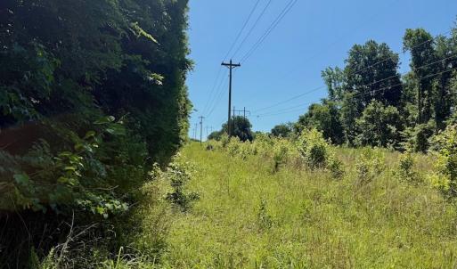Photo #56 of Off Stone Drive, Roxboro, NC 40.8 acres