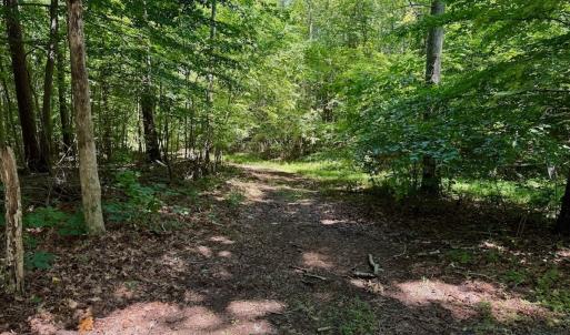 Photo #62 of Off Stone Drive, Roxboro, NC 40.8 acres