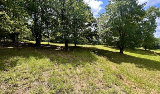 Photo #21 of Off Stewartsville Rd , Vinton, VA 17.5 acres