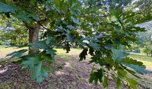 Photo #23 of Off Stewartsville Rd , Vinton, VA 17.5 acres