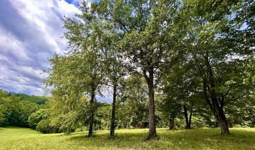 Photo #32 of Off Stewartsville Rd , Vinton, VA 17.5 acres