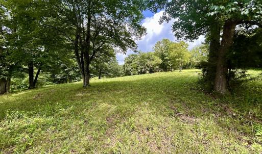 Photo #33 of Off Stewartsville Rd , Vinton, VA 17.5 acres