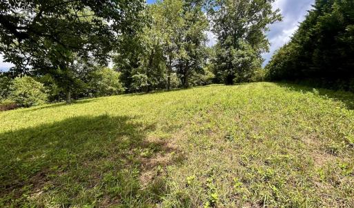 Photo #34 of Off Stewartsville Rd , Vinton, VA 17.5 acres