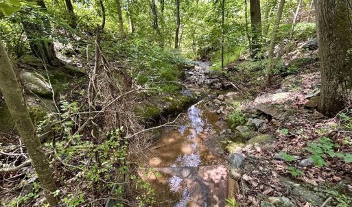 Photo #5 of Off Stewartsville Rd , Vinton, VA 17.5 acres