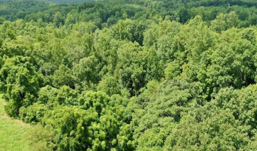 Photo #7 of Off Stewartsville Rd , Vinton, VA 17.5 acres