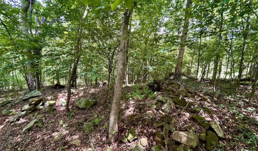 Photo #41 of Off Stewartsville Rd , Vinton, VA 17.5 acres