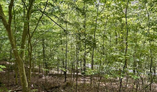 Photo #44 of Off Stewartsville Rd , Vinton, VA 17.5 acres