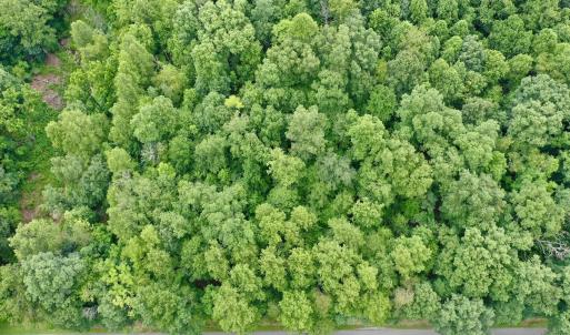 Photo #47 of Off Stewartsville Rd , Vinton, VA 17.5 acres