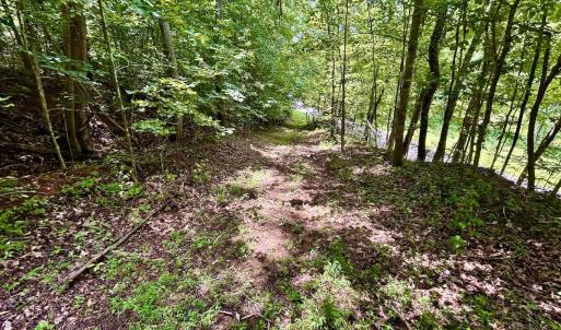 Photo #48 of Off Stewartsville Rd , Vinton, VA 17.5 acres